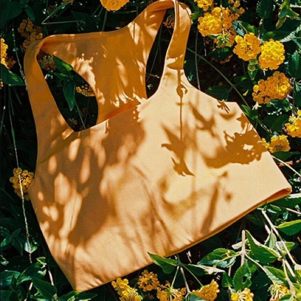 Summer Orchard Paloma Bra & Scrunchie